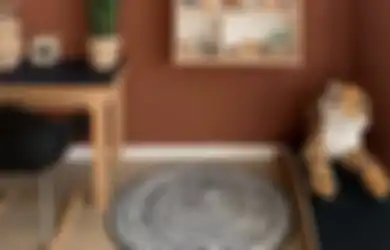 Bohemian hingga Modern, Warna Terakota Bisa Menciptakan Berbagai Atmosfer Dekorasi, lho!