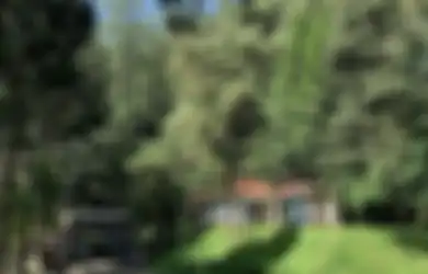 Dijamin Ketagihan, Ini Ide Ngabuburit di Tahura Juanda, Tempat Wisata Asri Kota Bandung yang Banyak Spot Foto Estetik