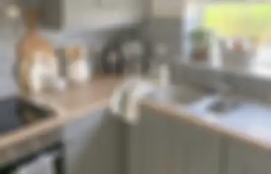 Bikin Semut Gak Nyaman, Bahan Masak Ini Ampuh Buat Bersihkan Peeabot Dapur, Fotonya Dijamin Kinclong