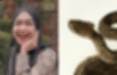 Tak Ada Akses Masuk, Rumah Ria Ricis Tiba-tiba Kemasukan Ular dengan Gerak-gerik Misterius, Diduga Jelmaan Jin Sampai Sekeluarga Ingin Perbanyak Lakukan Ini
