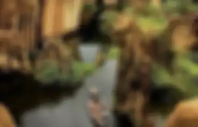 Wajib Coba, Ide Ngabuburit di Tangerang, Seru Banyak Spot Foto Unik 