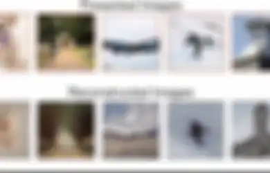 Otak Manusia Dicoba Buat Hasilikan Foto AI, Ternyata Begini Jadinya