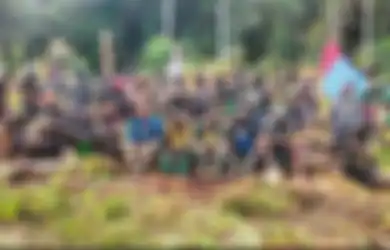 49 Hari Disandera KKB Papua, Kondisi Pilot Susi Air Akhirnya Terkuak, Lenis Kogoya Minta Egianus Hentikan Aksinya