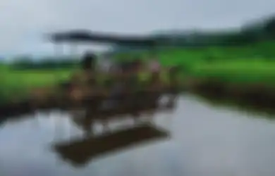 Ustaz Abdul Somad Peringatkan Usaha Pemancingan Ikan Bisa Menjadi Haram Karena Judi, Begini Caranya Agar Tetap Halal Saat Mancing