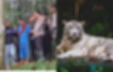 Mbah Slamet Janjikan Pasutri Asal Lampung Bakal Diantar Pulang Naik Macan Putih, Keluarga Korban Bongkar Jurus Jitu Sang Dukun Cari Mangsa