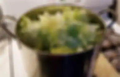 Air Rebusan Selada Bisa Atasi Insomnia Viral di TikTok, Cek Faktanya Berikut Ini