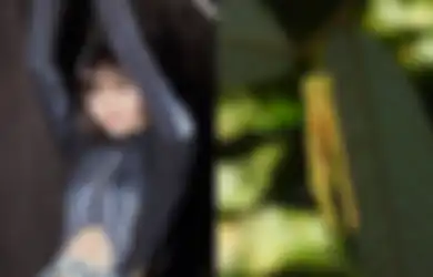 Lisa BLACKPINK Jadi Nama Bunga Langka Penemuan Baru di Thailand!