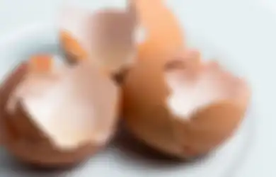 Cukup Pakai Cangkang Telur, Begini Cara Mengatasi Pisau Chopper yang Mulai Tumpul