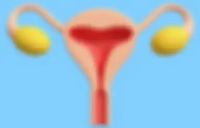 5 Makanan dan Minuman yang Harus Dihindari Agar Rahim Tetap Sehat, Wanita Wajib Tahu!