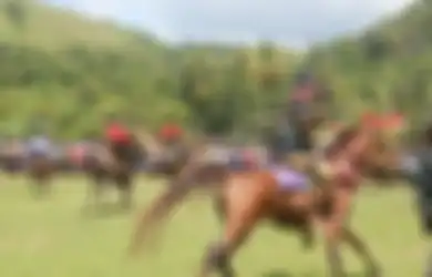 Inilah Pasola Festival Adu Tombak Tradisi Unik Suku Sumba