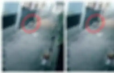 Terekam CCTV Diduga Babi Ngepet Lewat Pekarangan Warga di Tangsel, Polisi Langsung Turun Tangan dan Ungkap Makhluk Aslinya