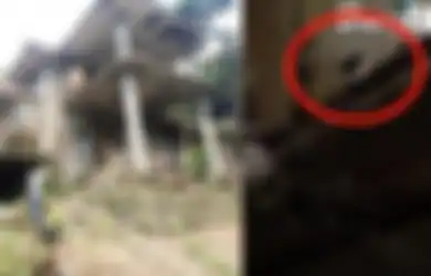 Anjing Dokter Wayan Cuma Bisa Duduk Tenang di Dalam Rumah Bak Tunggui Empunya, Begini Nasibnya Pasca Ditinggal Tuannya