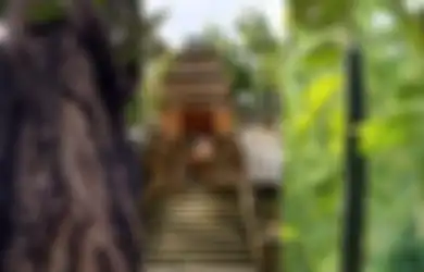 Jadi Cikal Bakal Berdirinya Mataram Islam, Inilah Pohon Mentaok yang 'Biseksual'