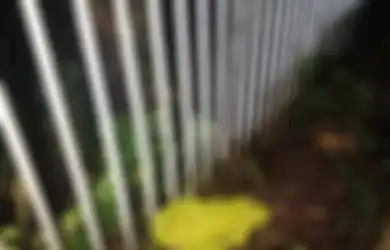 Dikubur Dekat Tempat Sampah, Warga Cisarua Digegerkan Penemuan Mayat Seorang Bayi Laki-laki, Terungkap Alasan TKP Tak Diberi Garis Polisi