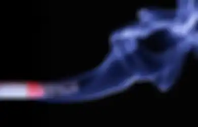 Sebatang Rokok Saja Terdapat Kandungan Berbahaya, Ini Risiko Kesehatan Karena Menghisap Asap Rokok