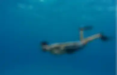 10 Ide Hadiah untuk Pacar yang Suka Diving, Salah Satunya Kamera Bawah Air utuk Abadikan Momen Saat Menyelam