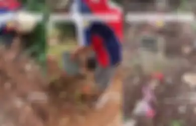 Viral di TikTok Kuburan Kucing Liar Tertata Rapi Bak Pemakaman Umum, Ada Nisan hingga Tanggal Para Anabul Meninggal