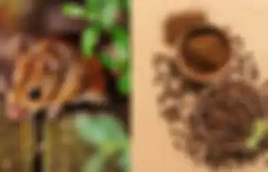 GAMPANG! Begini Cara Mengatasi Tikus Pakai Bubuk Kopi, si Hewan Pengerat yang Kerap Bikin Jengkel
