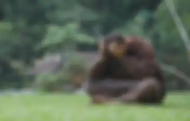 Cara Mengatasi Emotional Numbness, Perasaan Mati Rasa yang Kerap Dialami Seseorang hingga Merasa Terisolasi