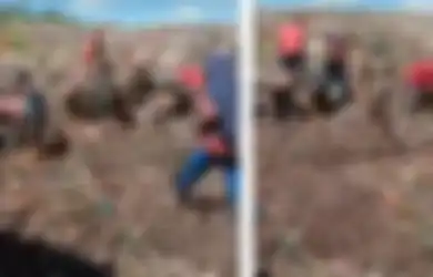 Viral Video Warga Riau Mengais Tumpukan Sampah Demi Daging Kerbau Ilegal, Bea Cukai Bengkalis Buka Suara, Netizen: Takut Dijual Diem-diem