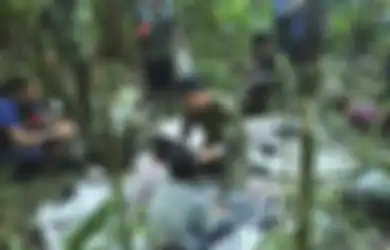 4 Bocah Korban Pesawat Jatuh Lolos dari Maut,  Begini Cara Mereka Bertahan Hidup di Hutan Amazon Selama 40 Hari