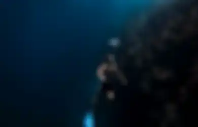 Olahraga Jenis Ini Tengah Viral di TikTok, Apa Sih Manfaat Freediving untuk Kesehatan?