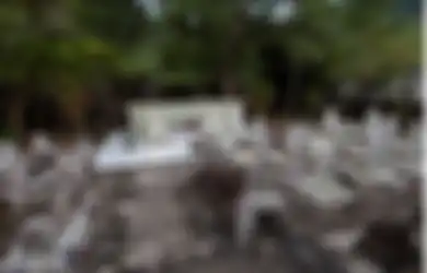 Kisah Tragis Rara Oyi Dan Banyaknya Selir Raja Mataram Dari Jawa Timur