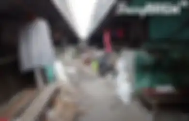 VIRAL Kampung di Kolong Jalan Tol daerah Jakarta, Ternyata Ada Sekolah dan Musala