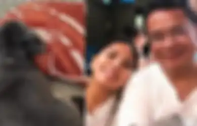 Bebe Terpotret Hidup Mewah Duduk di Bantal Hermes, Cara Anak Hotman Paris Perlakukan Anjing Kesayangannya Ini Jadi Sorotan: Ikut Shopping