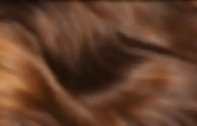 Ada 8 Bahan Dapur yang Ternyata Bisa Mengubah Warna Rambut Kita