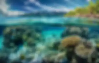 20 Ucapan Hari Kelautan Nasional 2023, Peristiwa Refleksi Pentingnya Ekosistem Laut