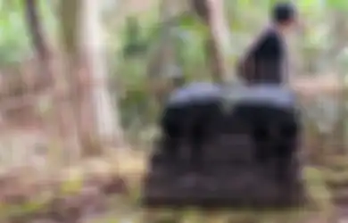 Gejolak Terbesar Mataram Islam, Amangkurat IV Sampai Minta Bantuan VOC Untuk Memadamkan Pemberontakan 3 Adiknya
