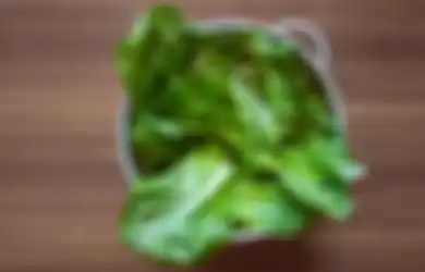 Viral di TikTok, Air Rebusan Selada Bisa Atasi Insomnia. Kok Bisa?