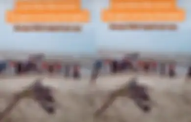 Diduga Jadi Tanda-tanda Tsunami, Viral di TikTok Air di Pantai Sumpur Surut Secara Drastis, Warga Khawatir