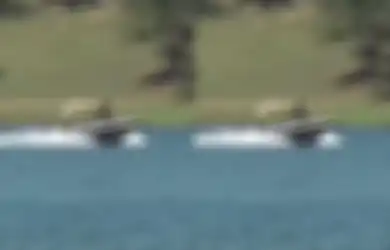 Viral di TikTok 4 Orang di AS Meninggal Dunia Usai Ikuti Boat Challenge, Begini Kronologinya