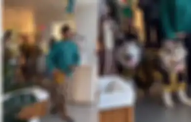 Viral di TikTok Usai Gelar Pernikahan Anjing dengan Adat Jawa, Staf Khusus Presiden Jokowi Ini Minta Maaf 