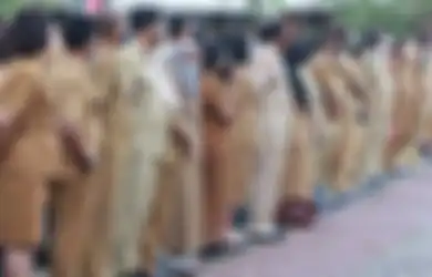Jurusan S1 yang Berpeluang Lolos dalam Pendaftaran CPNS dan PPPK 2023
