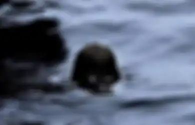 Asal-usul Khodam Onggo Inggi yang Bersembunyi di Sungai Bengawan Solo