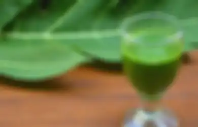 Bisa Kurangi Nyeri Menstruasi, Ini 6 Manfaat Jus Daun Pepaya