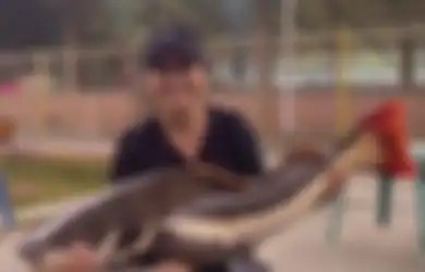 Prilly Tunjukkan Hobi Memancing dan Berhasil Dapat Ikan 20 Kilo, Netizen: Apa Sih yang Dia Enggak Bisa?