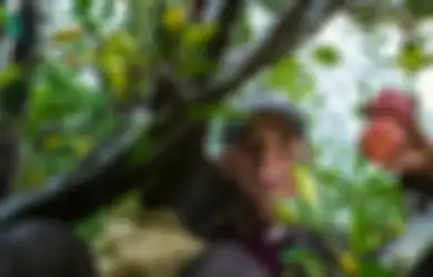 3 Weton Ini Konon Selalu Sukses Apapun Pekerjaan atau Usaha yang Digelutinya