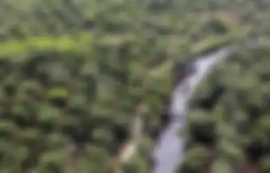 Lowongan Kerja Gaji Rp3,5 juta di Bengkulu, PT Sinar Sawit Perkasa Buka Kesempatan Emas di Posisi Ini