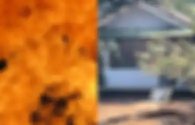 Tragisnya Kondisi Tubuh Anak Pamen TNI AU yang Tewas di Lanud Halim, Rongga Perut Pendarahan Hebat Hingga Luka Bakar 91 Persen!