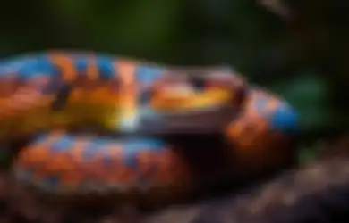 Arti Mimpi Melihat Ular Banyak Tapi Tidak Menggigit dalam Primbon Jawa