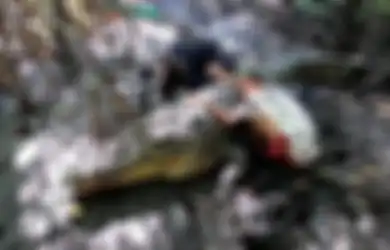 Buaya Bernama Rizka Diduga Terkam Emak-emak Hingga Kritis, Pak Ambo Ngamuk Tak Terima Sang Predator Difitnah