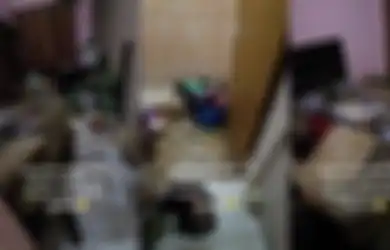 Viral di TikTok Wanita Timbun Sampah di Kamar Kos, Kasur Sampai Berubah Warna Jadi Coklat, Diduga Alami Hoarding Disorder
