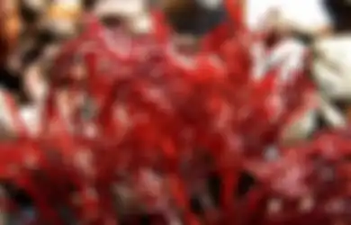 Lowongan Kerja Gaji Rp21 Juta di Jawa Timur, PT Hongxin Algae International Buka Kesempatan Emas di Posisi Ini
