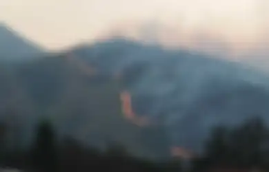 Kekuatan Khodam Monyet Gunung Lawu, Sang Pelindung dari Kekacauan Mengerikan