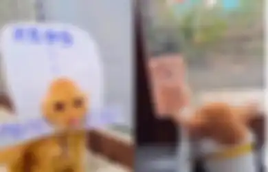 2 Khodam Ini Takut Banget dengan Kucing Meski Punya Kekuatan Gaib Luar Biasa