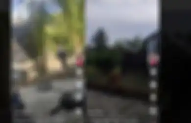 Viral di TikTok Aksi Pria di Bangka Sering Meludah ke Arah Halaman Tetangga, Terungkap Akar Masalahnya